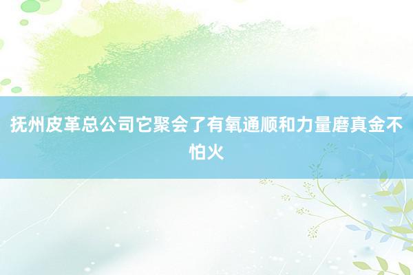 抚州皮革总公司它聚会了有氧通顺和力量磨真金不怕火