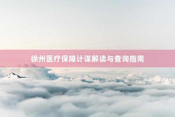 徐州医疗保障计谋解读与查询指南