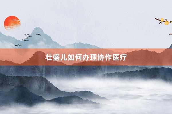 壮盛儿如何办理协作医疗