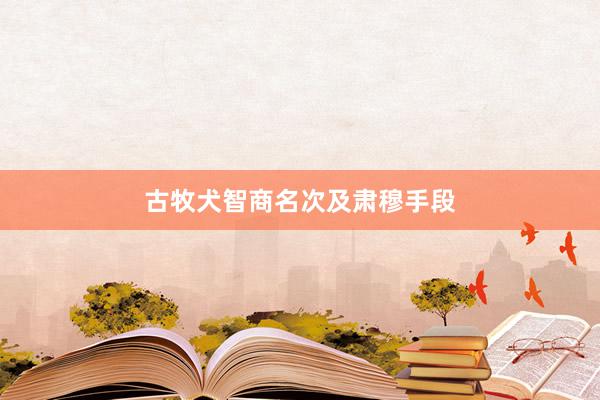 古牧犬智商名次及肃穆手段