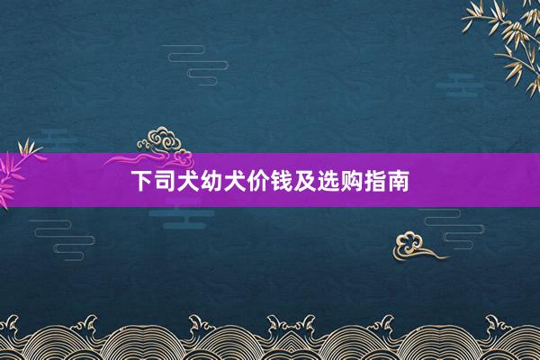 下司犬幼犬价钱及选购指南