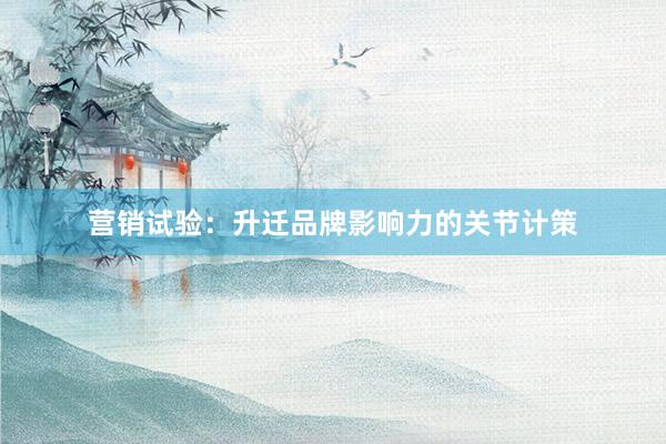 营销试验：升迁品牌影响力的关节计策